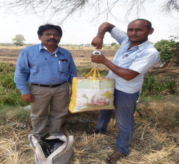 Jayashankar District                                                                                                                                                                                                                                       - Crop Cutting Expts.,                                                                                                                                   - Attend the Crop Cutting Experiments at Ghanpur(mulug) mandal chelpur(v) by Dy.S.O O/o CPO Office Jayashankar Bhupalpally                                                                                                                                        - dt.14/05/2019          